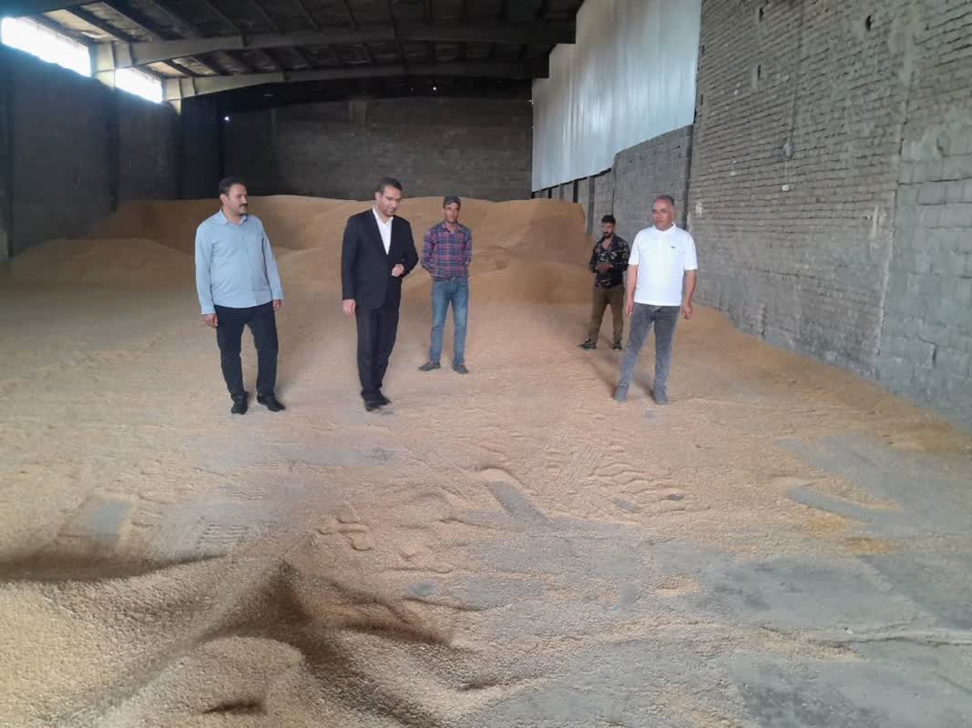 بازدید و نظارت میدانی فرماندار چالدران  از مرکز خرید تضمینی گندم در شهرستان