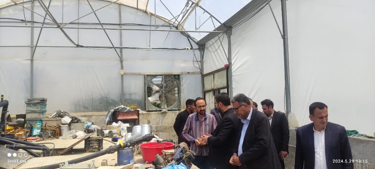 💢فرماندار چالدران از روند فعالیت گلخانه شهرستان بازدید کرد 🔺به گزارش روابط عمومی فرمانداری چالدران محمد رضا عبداله نژاد فرماندار چالدران در این بازدید با بیان اینکه در طول دولت سیزدهم دو واحدگ