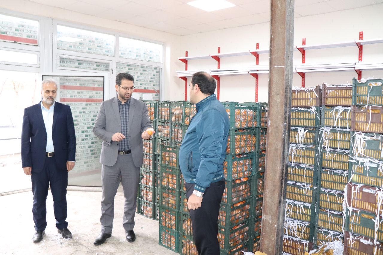 💢 بازدید فرماندار شهرستان چالدران از محل های توزیع میوه ویژه شب عید در سطح شهرستان
