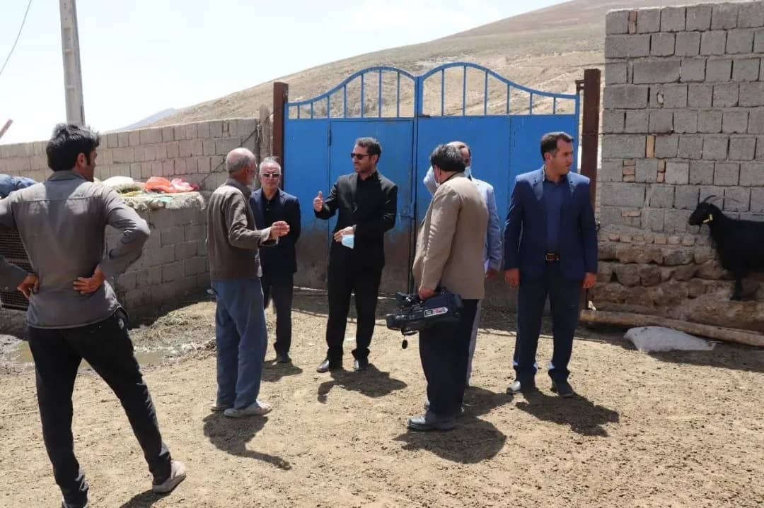محمد رضا عبدالله نژاد فرماندار شهرستان چالدران به همراه کواکبی معاون برنامه ریزی و امور عمرانی فرماندار از روند اجرایی طرح ساماندهی معابر روستای شاه منصور واقع در بخش مرکزی چالدران بازدید کردند .