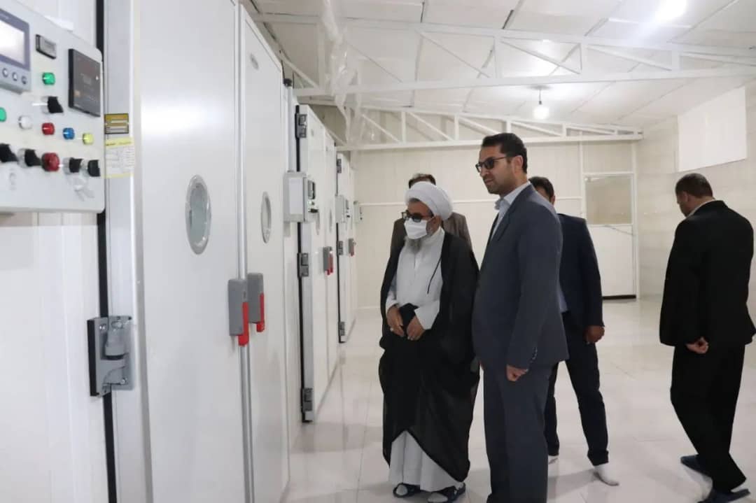به مناسبت گرامی داشت هفته جهاد کشاورزی با حضور محمد رضا عبدالله نژاد فرماندارشهرستان چالدران طرح جوجه ریزی و پرورش شتر مرغ در چالدران به بهره برداری رسید.