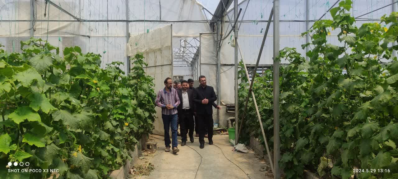 💢فرماندار چالدران از روند فعالیت گلخانه شهرستان بازدید کرد 🔺به گزارش روابط عمومی فرمانداری چالدران محمد رضا عبداله نژاد فرماندار چالدران در این بازدید با بیان اینکه در طول دولت سیزدهم دو واحدگ
