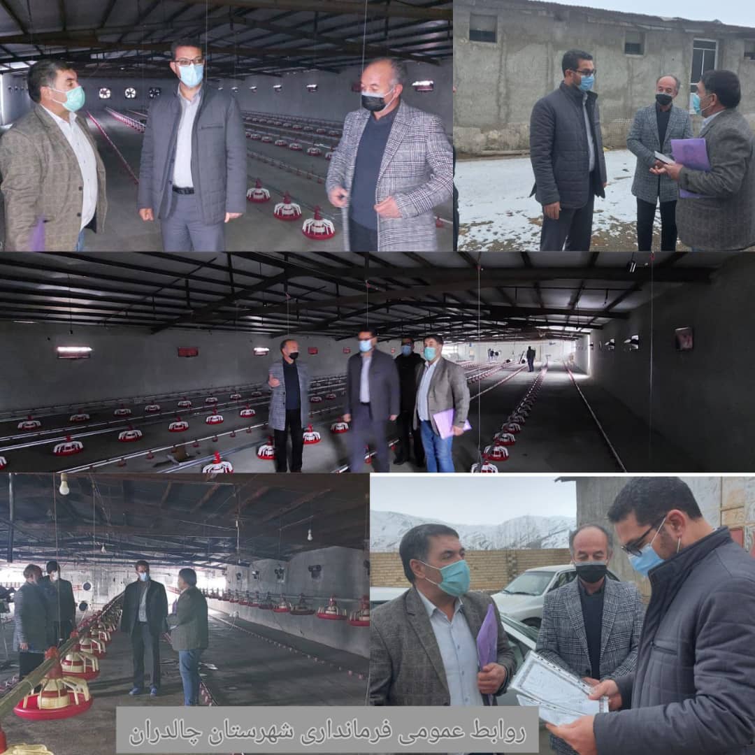 ✅فرماندار شهرستان چالدران از مرغداری شفقی در این شهرستان بازدید و مسائل و مشکلات این مرغداری را مورد بحث و بررسی قرار داد.