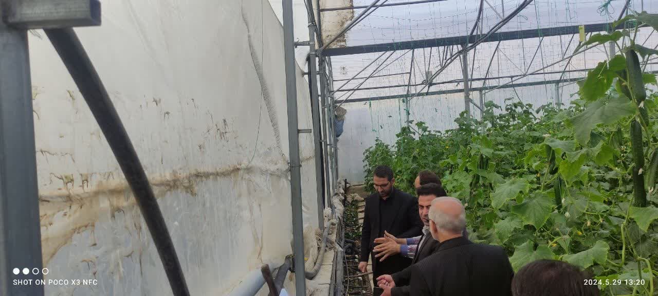 💢فرماندار چالدران از روند فعالیت گلخانه شهرستان بازدید کرد 🔺به گزارش روابط عمومی فرمانداری چالدران محمد رضا عبداله نژاد فرماندار چالدران در این بازدید با بیان اینکه در طول دولت سیزدهم دو واحدگ