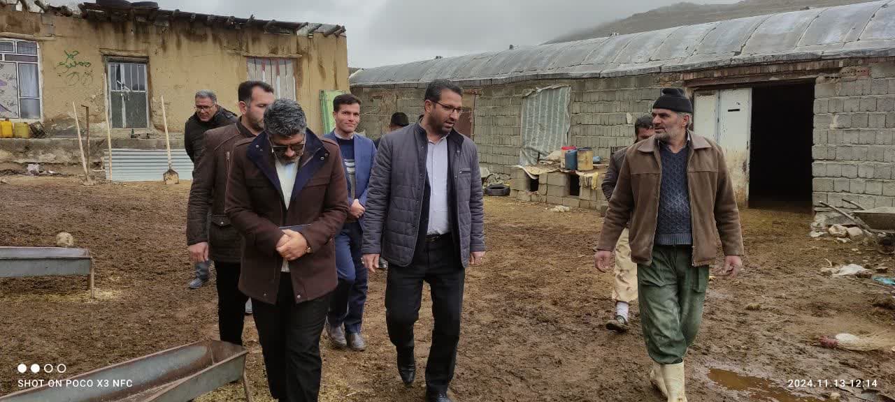 بازدید محمد رضا عبدالله نژاد فرماندار چالدران به همراه جمعی از اعضای شورای اداری از مسیر گشایی و کانال کشی در روستای شاه منصور