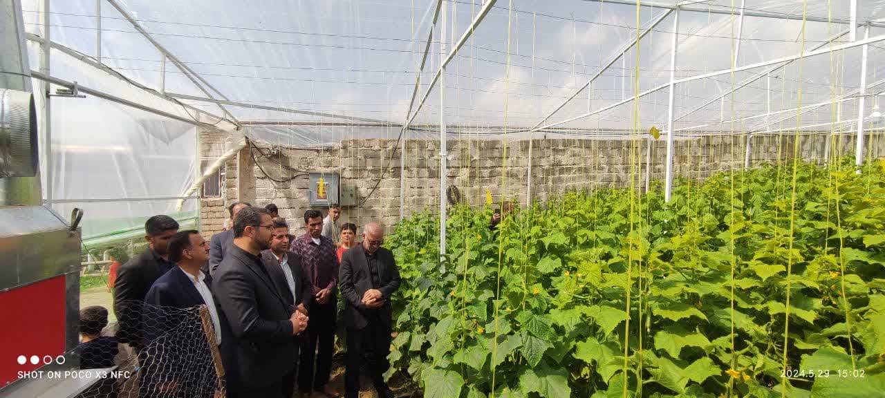 به گزارش روابط عمومی فرمانداری چالدران با حضور محمد رضا عبداله نژاد فرماندار شهرستان و جمعی از اعضای شورای اداری واحد گلخانهای در روستای قره آغل به بهره برداری رسید 🔷برای راه اندازی این واحد گلخانه
