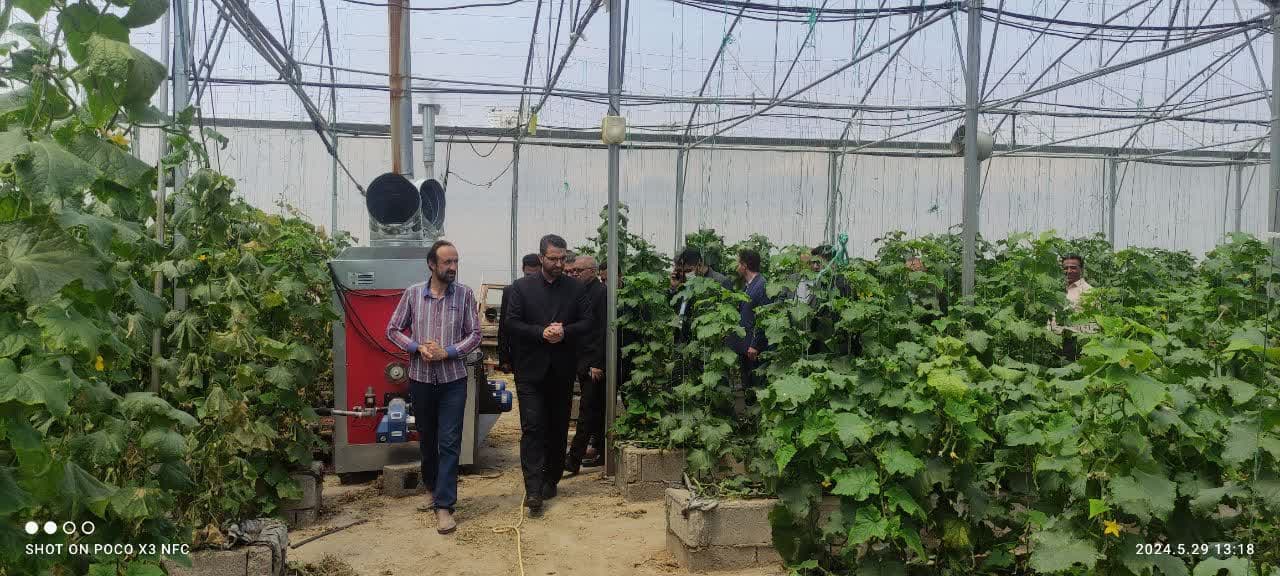 💢فرماندار چالدران از روند فعالیت گلخانه شهرستان بازدید کرد 🔺به گزارش روابط عمومی فرمانداری چالدران محمد رضا عبداله نژاد فرماندار چالدران در این بازدید با بیان اینکه در طول دولت سیزدهم دو واحدگ