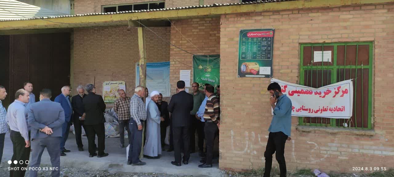 💢از ابتدای خرید گندم مازاد بر مصرف کشاورزان تاکنون 2هزار تن گندم خریداری شده است