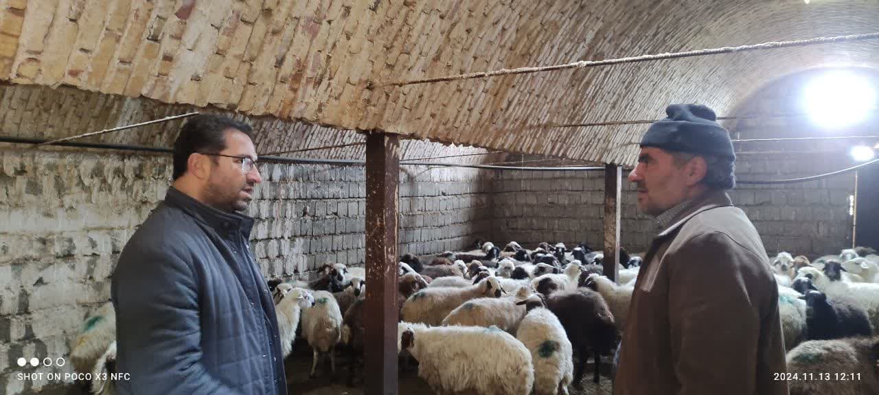 بازدید محمد رضا عبدالله نژاد فرماندار چالدران به همراه جمعی از اعضای شورای اداری از مسیر گشایی و کانال کشی در روستای شاه منصور