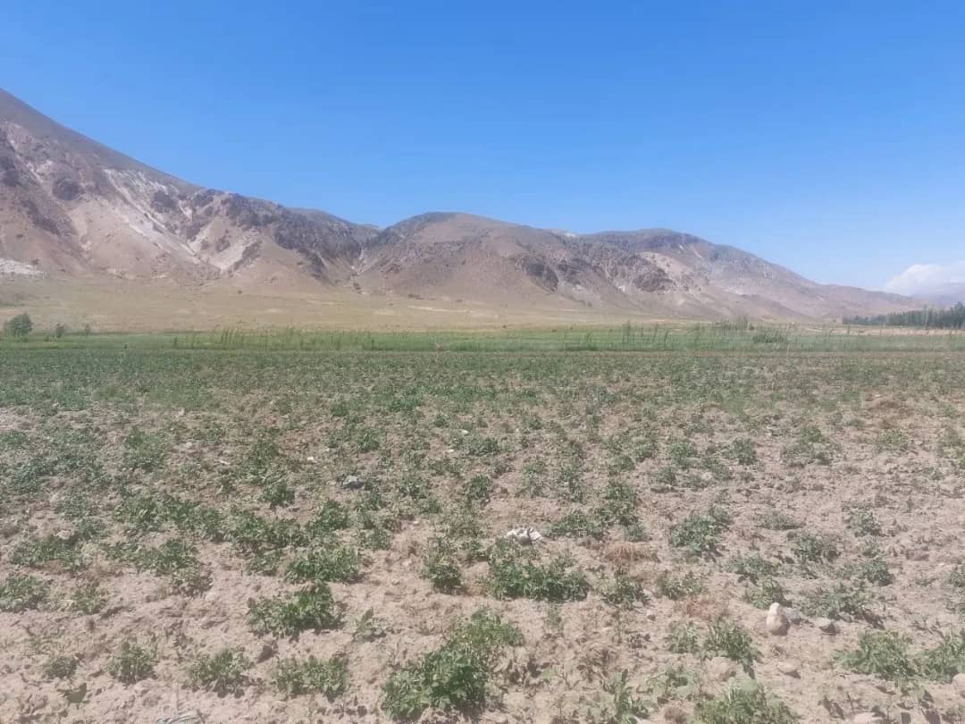 به مناسبت گرامیداشت هفته جهاد کشاورزی با حضور محمدرضا عبدالله نژاد فرماندار شهرستان چالدران طرح آبیاری تحت فشار به وسعت 7هکتار با اعتبار 1میلیارد 500میلیون ریال در روستای گل اشاقی به بهره برداری رسید
