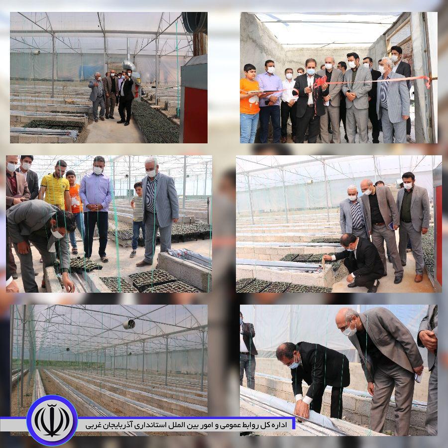✅به مناسبت گرامیداشت هفته جهاد کشاورزی با حضور محمدزاده فرماندار شهرستان چالدران و جمعی از اعضای شورای اداری واحد گلخانه ای هیدرو پونیک در این شهرستان به بهره برداری رسید.